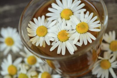 Chamomile Extract Hydrotherapy for Diabetic Skin Health